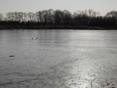 -永定河休闲森林公园