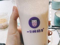 -一只酸奶牛(八一路店)