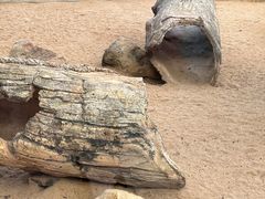 -深圳野生动物园