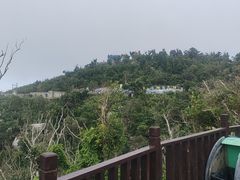 -海南铜鼓岭景区