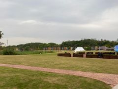 -东平国家森林公园