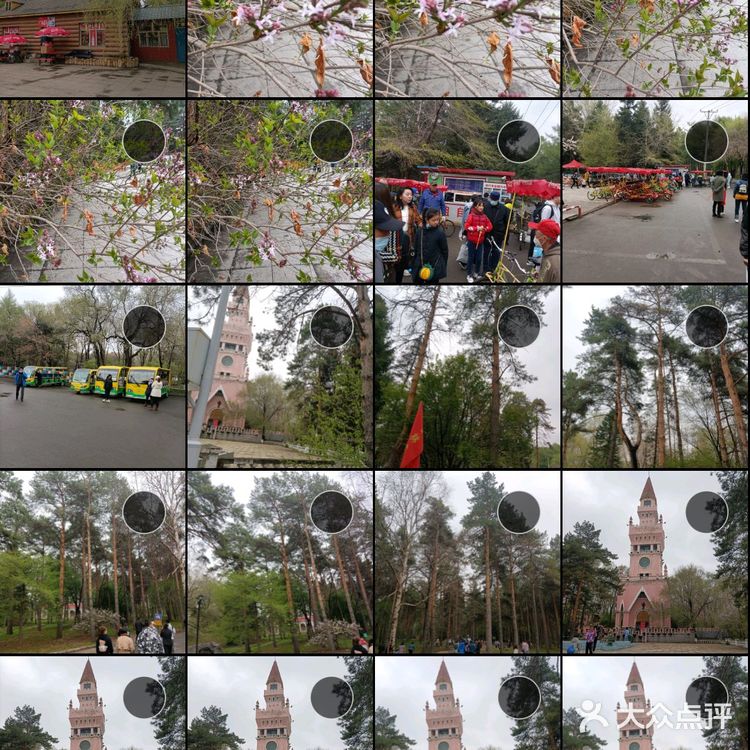 五一五天假哈尔滨免费游攻略