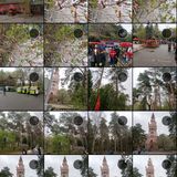 五一五天假哈尔滨免费游攻略