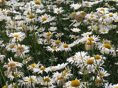 -江苏省苏州实验中学