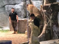 -清迈夜间动物园