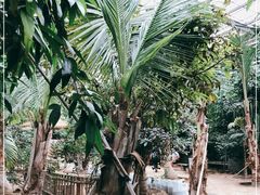 -呀路古热带植物园