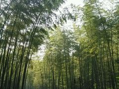 -黄公望隐居地