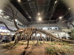 -自贡恐龙博物馆
