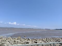 -上海吴淞炮台湾国家湿地公园