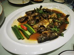 -鲜得莱渔港·小平岛海胆馆(七贤岭店)