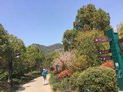 -湘湖大院(越王路店)