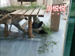 -无锡动物园·太湖欢乐园