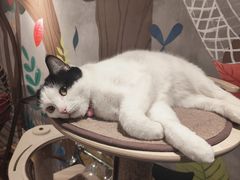 -么么咖啡(燕郊店)