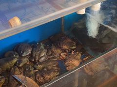 -秦记香辣蟹(松榆里店)