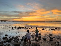 -宝安西湾红树林湿地公园