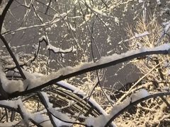 -斯多格书乡(北京大学畅春园店)