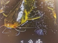 -蛙一刀·麻椒鱼火锅(金仙桥店)