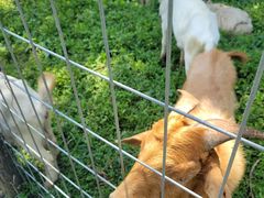 -前小桔亲子创意农场·草莓采摘·露营烧烤