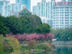 -望江楼公园
