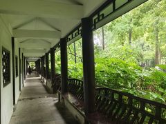 -墨池公园