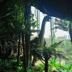 -恐龙探索乐园(磁器口店)