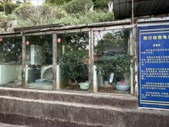 -昆明动物园