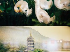 -杭州工艺美术博物馆