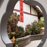 文化公园新宠！三月茶社高颜值出圈下午茶