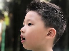 景点-水绘园