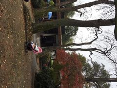 -绿野餐厅(上海动物园店)