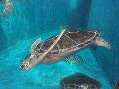 -成都浩海立方海洋公园