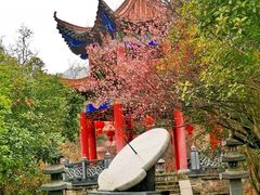 -开福禅寺