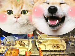 -很久以前羊肉串(大华三路店)