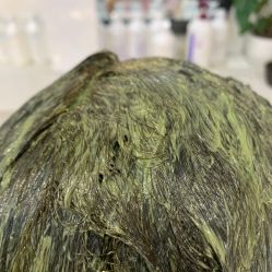 -魔型社