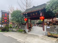 -青城甲(青城山店)