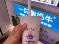 -一只酸奶牛(春熙路店)