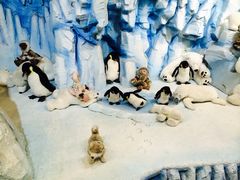 -济州岛泰迪熊博物馆