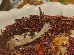 -百姓渔村(南中环店)
