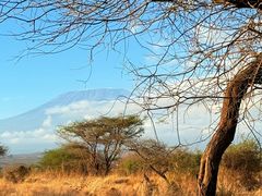 -乞力马扎罗山