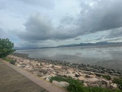 -深圳湾公园(南山区)