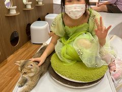 -COLOR PETS 撸猫馆·购猫·猫咖(长风大悦城店)