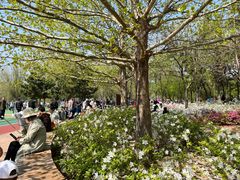 -羊亭河湿地公园