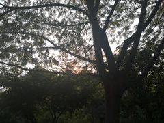 -曲阜尼山书院酒店-西餐厅