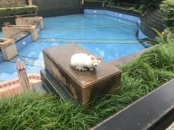 -美玫美容SPA护理中心
