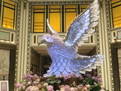 -上海和平饭店龙凤厅 Dragon Phoenix