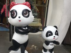 -熊猫屋(宽窄巷子景区店)