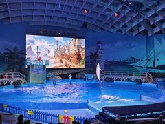 -海合安武汉极地海洋公园