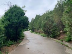 -府君山公园