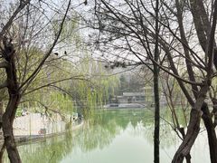 -黄村公园