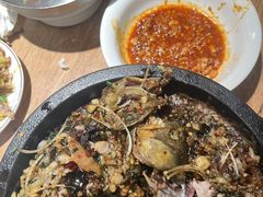 -聚鑫朋酸菜肥肠(文艺路口店)